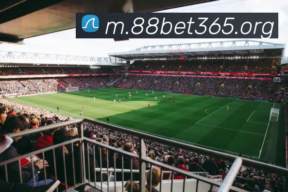 bet365中国官网APP 体育赛事宣传图